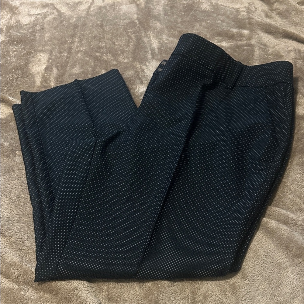 New York & Company Navy Blue and White Dotted Trousers